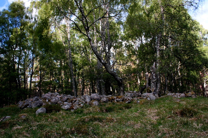 Image of Balnagowan Wood (Cairn(s)) by GLADMAN