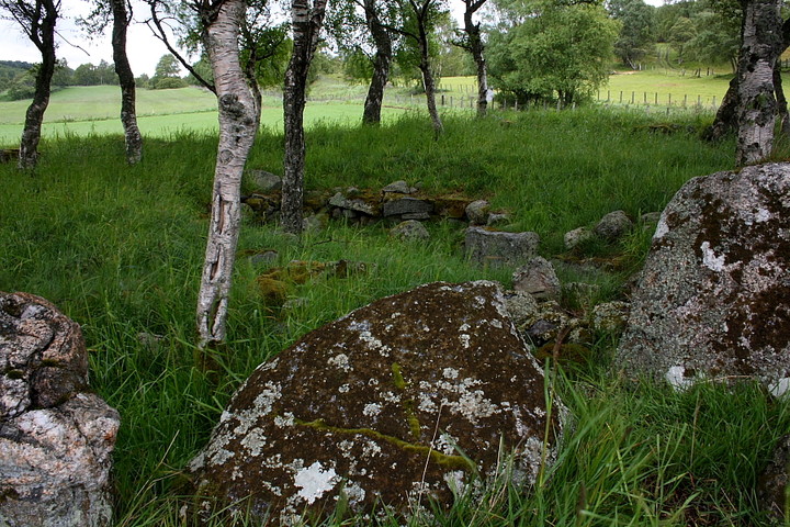 Image of Avielochan (Clava Cairn) by GLADMAN