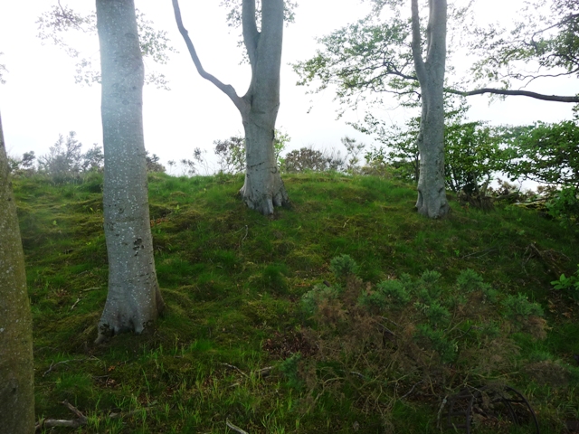 Image of Braedale (Cairn(s)) by drewbhoy