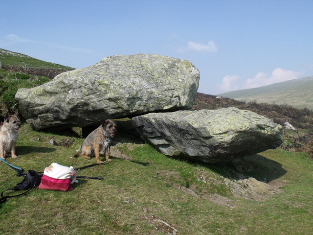 Image of Moel Faban Arrow Stone (Carving) by blossom