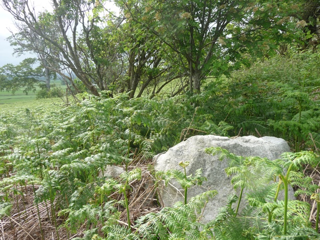 Image of Mimrikin’s Clump (Enclosure) by drewbhoy