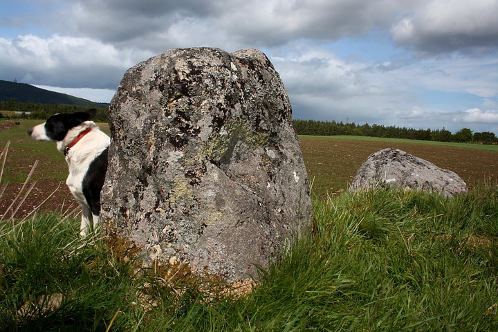 Image of Torbreck (Stone Circle) by GLADMAN