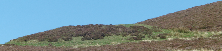 Image of Costa Hill (Round Barrow(s)) by wideford