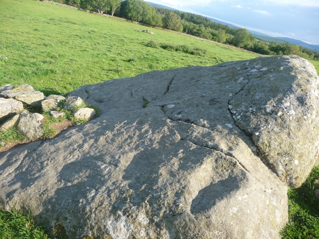 Image of Hill Of Avochie (Cup Marked Stone) by drewbhoy