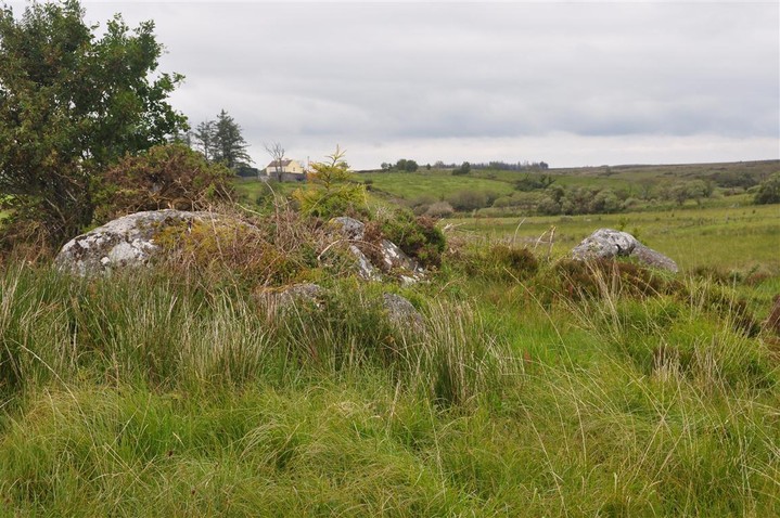 Image of Caltragh (Wedge Tomb) by bogman