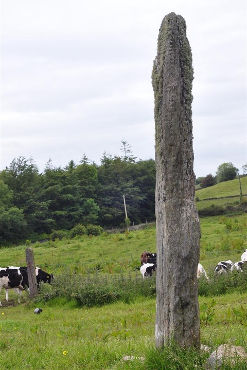 Image of Corrower (Standing Stone / Menhir) by bogman
