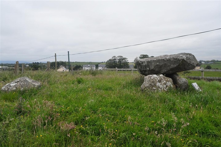 Image of Ballina (Dolmen / Quoit / Cromlech) by bogman