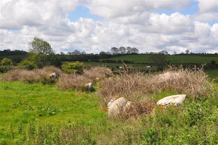 Image of Carbad Mor (Court Tomb) by bogman