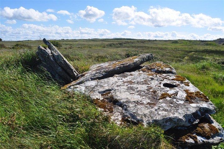 Image of Creevagh (Court Tomb) by bogman