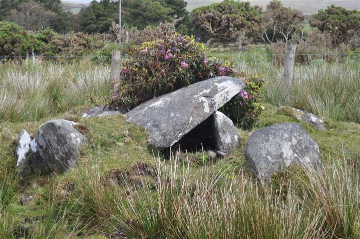 Image of Castlehill N (Wedge Tomb) by bogman