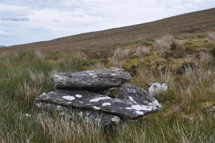 Image of Fallagh North (Portal Tomb) by bogman