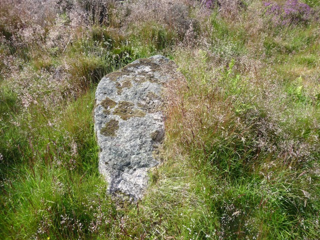 Image of Whitehills (Stone Circle) by drewbhoy