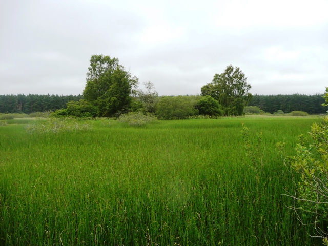 Image of Loch Of Leys (Crannog) by drewbhoy