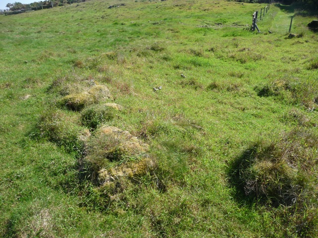 Image of Hill Of Logie (Ancient Village / Settlement / Misc. Earthwork) by drewbhoy
