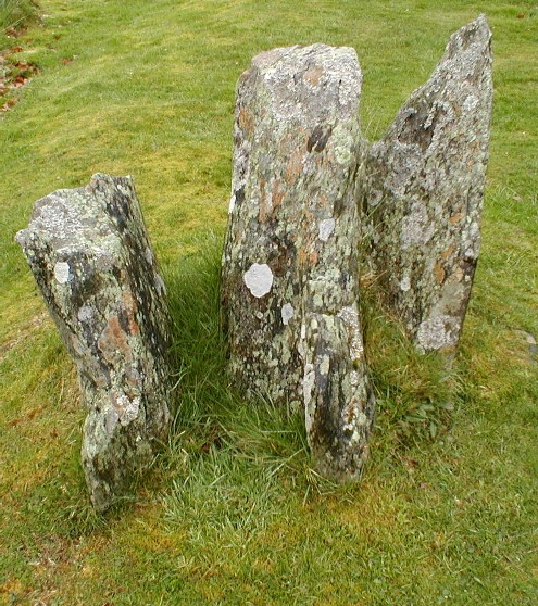 Image of Corrimony (Clava Cairn) by pebblesfromheaven