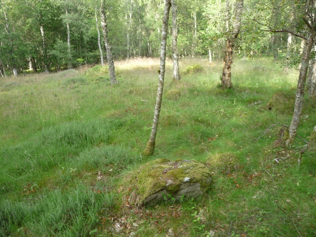 Image of Findrassie Wood (Kerbed Cairn) by drewbhoy