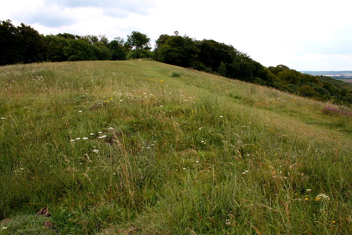 Image of Whiteleaf (Long Barrow) by GLADMAN
