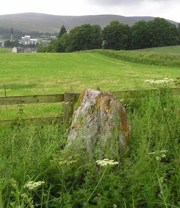 Image of Glen Livet (Standing Stone / Menhir) by tiompan
