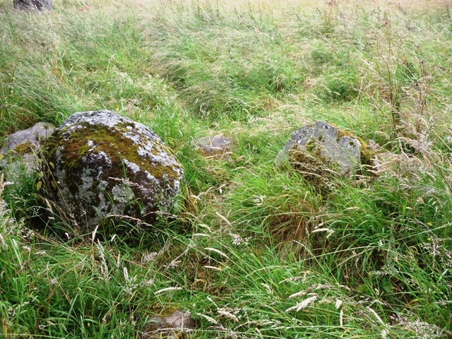 Image of Standing Stones of Urquhart (Stone Circle) by drewbhoy