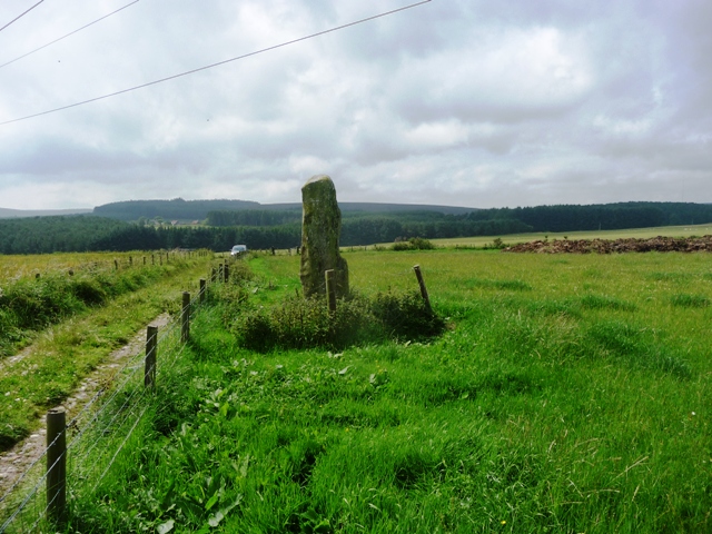 Image of Auquhollie Stone (Standing Stone / Menhir) by drewbhoy