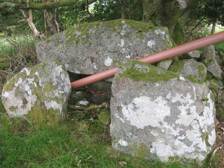 Image of Carrickbrannan (Court Tomb) by ryaner