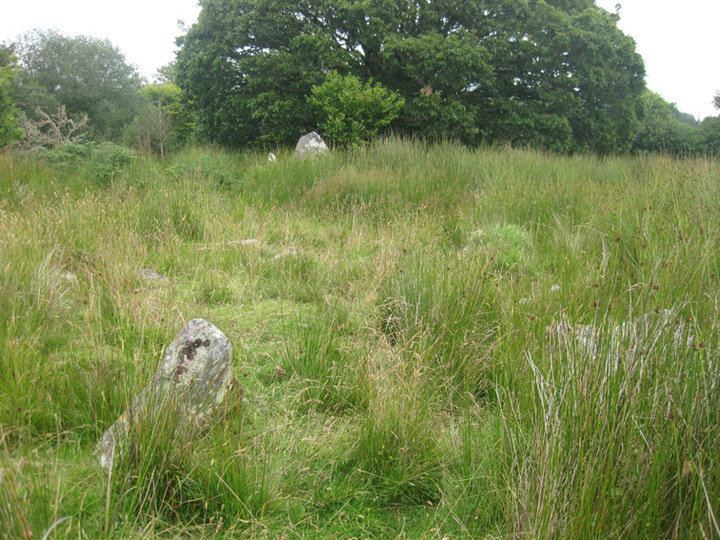 Image of Carrickbrannan (Court Tomb) by ryaner