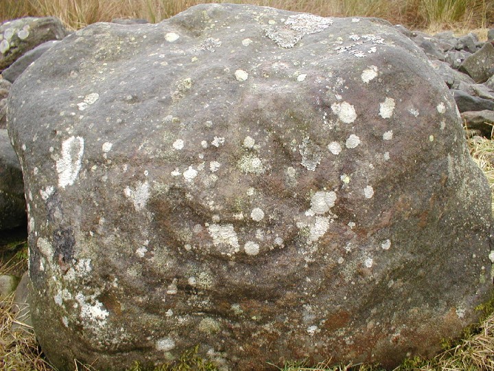 Image of Weetwood Moor (Cup and Ring Marks / Rock Art) by pebblesfromheaven