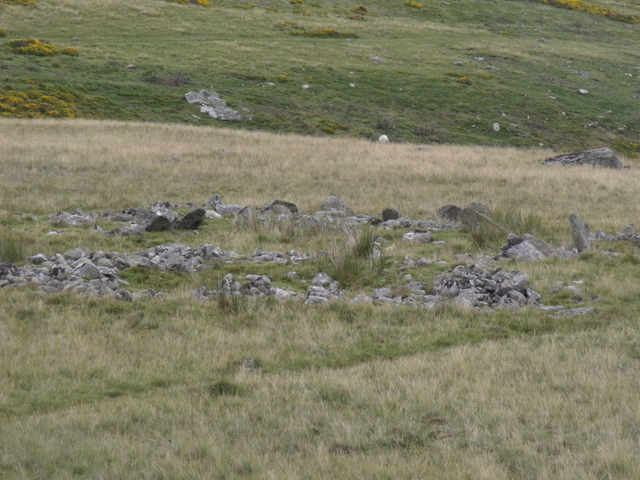 Image of Moel Faban Settlement by blossom