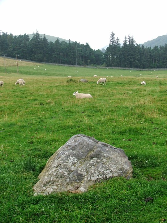Image of Hethpool (Stone Circle) by postman
