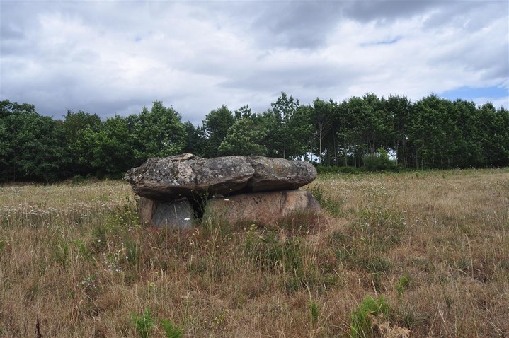 Image of La Lue (Dolmen / Quoit / Cromlech) by bogman