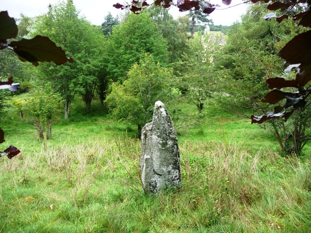 Image of Abergeldie (Standing Stone / Menhir) by drewbhoy